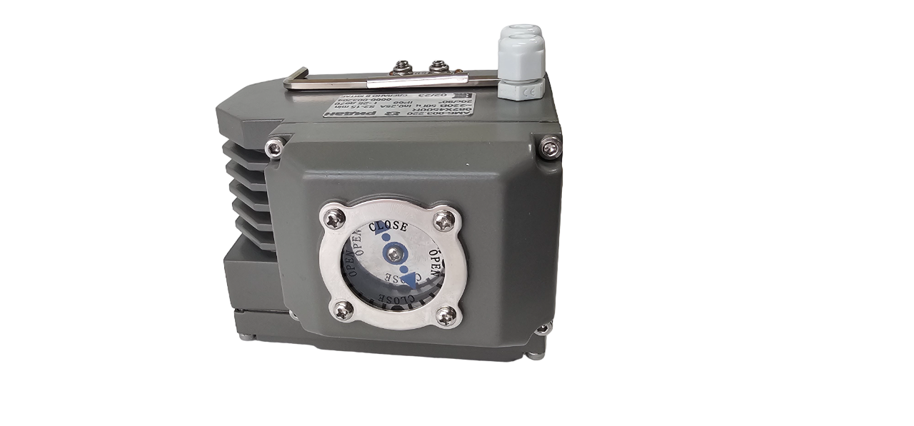 АМБ-003 - 10-P.png